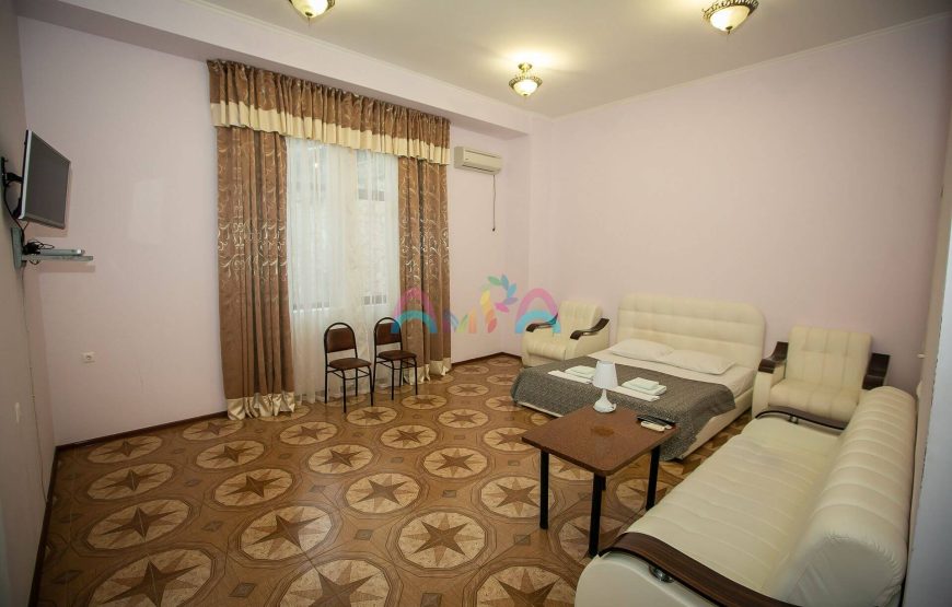 2 МЕСТНЫЙ ПОЛУЛЮКС в пансионате Мюссера, Абхазия