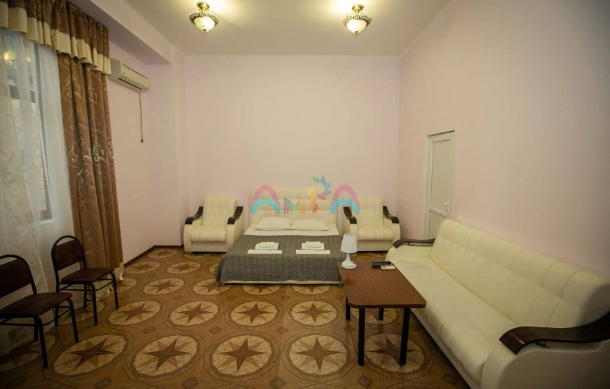 2 МЕСТНЫЙ ПОЛУЛЮКС в пансионате Мюссера, Абхазия