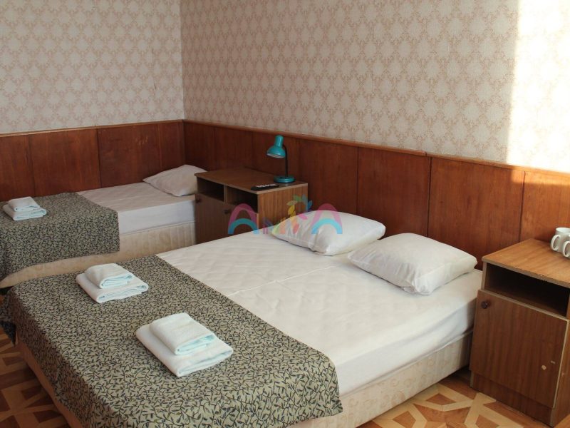 3 МЕСТНЫЙ в пансионате Мюссера, Абхазия