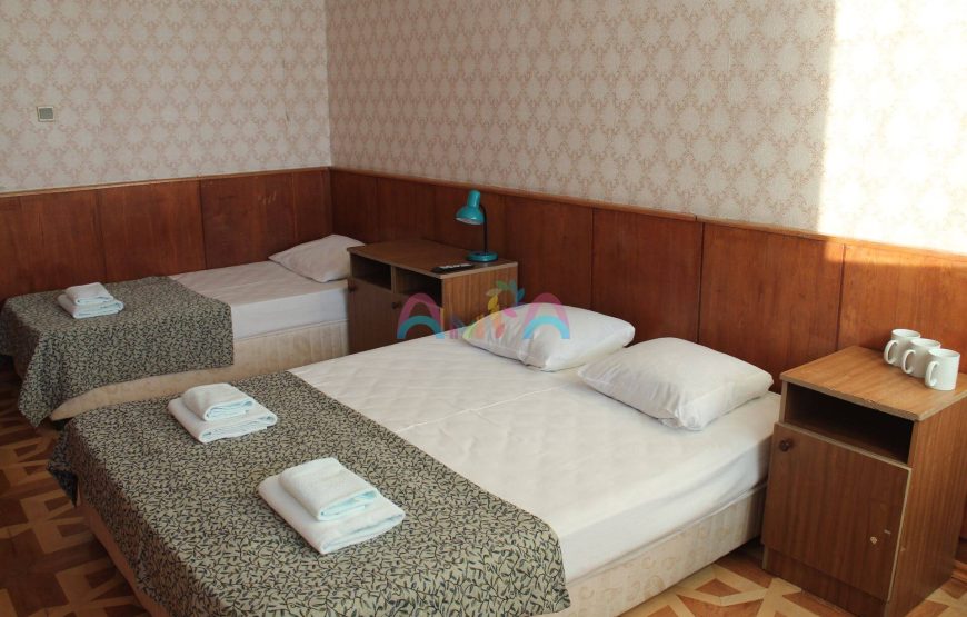 3 МЕСТНЫЙ в пансионате Мюссера, Абхазия