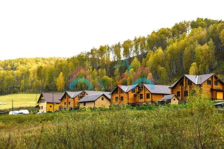 Басаргино, Алтайский край, деревня